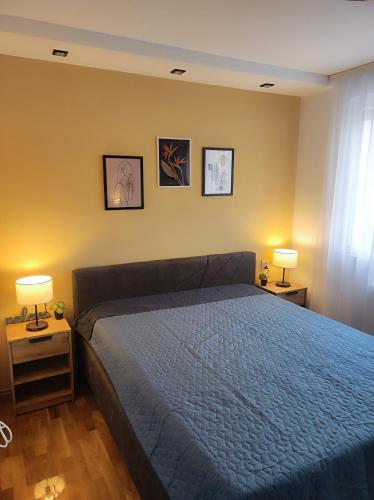 a bedroom with a blue bed and two lamps at Riverside LUX Apartment in Pirot