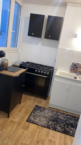 une cuisine avec une cuisinière et un comptoir dans l'établissement Appartement proche aéroport Beauvais-tille, à Beauvais