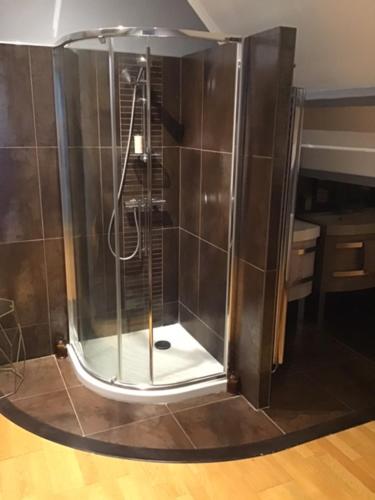 a shower with a glass door in a bathroom at Spacieuse chambre, sdb privative et piscine chauffée in Oinville-sur-Montcient