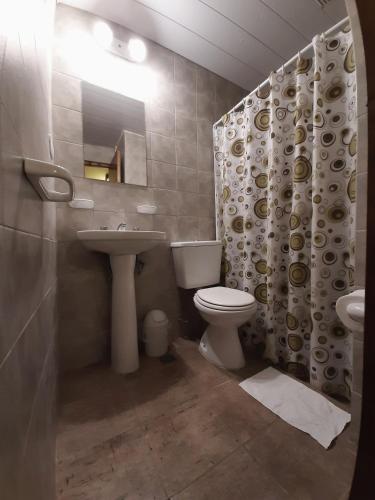 a bathroom with a toilet and a sink and a mirror at Hotel Vireo in Villa Gesell