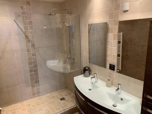 une salle de bain avec un lavabo et une douche dans l'établissement Appartement de charme, 76 m2, Quartier St GABRIEL, à Caen