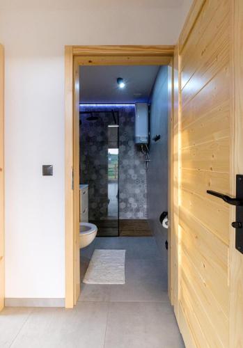 a bathroom with a shower and a toilet in a room at Olecka Village Resort & Spa in Jaworzynka