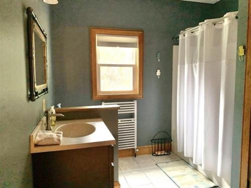 a bathroom with a sink and a window and a shower at OWL HOUSE LIMIT 8 home in Wakefield