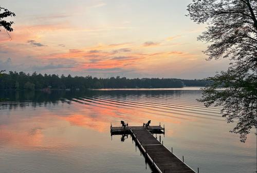 two dogs on a dock on a lake at sunset at OWL HOUSE LIMIT 8 home in Wakefield