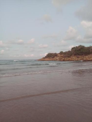 einen Strand mit Meer und Bäumen im Hintergrund in der Unterkunft Mar doce lar in Cabo de Santo Agostinho