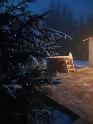 a christmas tree in the snow at night at Csencsó Vendégház in Ciumani