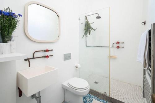 a bathroom with a toilet and a sink and a shower at The Old Shop Loft apt in the heart of the village in Cape Town