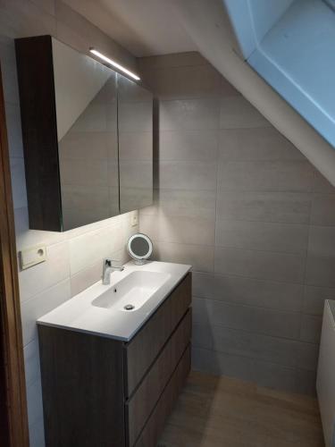 een badkamer met een wastafel en een spiegel bij Vakantiewoning Steger einde in Opglabbeek
