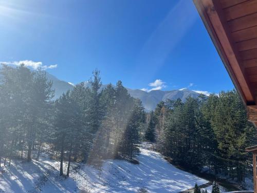 vistas a una colina nevada con árboles y montañas en Spacious penthouse chalet apartment in Pirin Golf and Country Club en Razlog