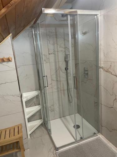 a shower with a glass door in a bathroom at Ranczo Frodyma in Stronie Śląskie