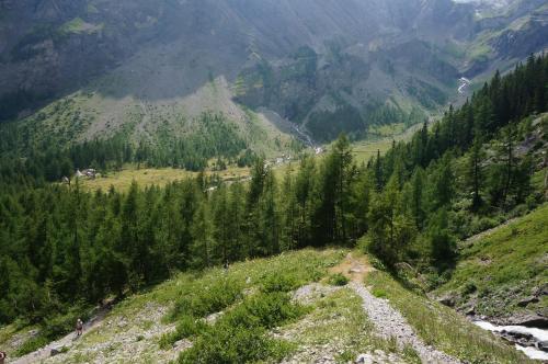 a view of a mountain with trees and a river at bnb Valais - by La Sittelle in Grimisuat