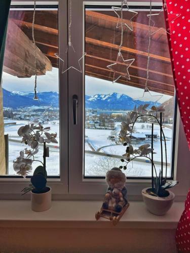 a window with a teddy bear sitting on a window sill at Apartment Sunset am Wolfgangsee in Strobl