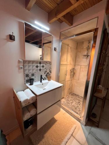 a bathroom with a sink and a shower at Le nid d’Isa in Hautvillers