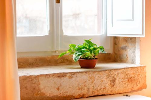 una pianta in vaso seduta sul davanzale di una finestra di GH Flat Studio S.Martino a Carloforte