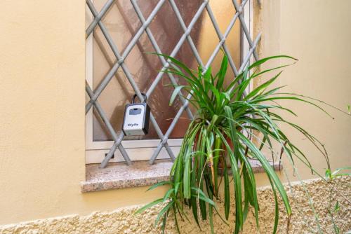 ボローニャにあるBilocale in centro storicoの窓前に座る植物