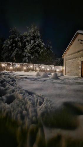 a yard covered in snow at night with lights at Kotula in AdamÃ³w