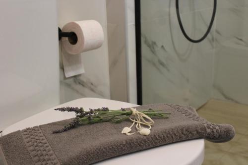 a towel sitting on top of a toilet in a bathroom at Aryiro's Residence,Cozy&Sunny in Alikianós