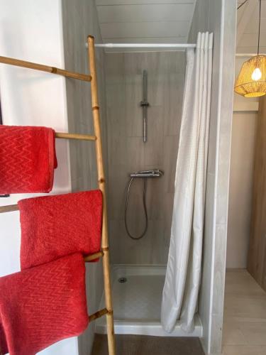 a shower with red towels in a bathroom at Herbergement typique créole in Fort-de-France
