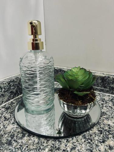 a bottle of water and a potted plant on a counter at Pousada Boutique Três Marias in Guarujá
