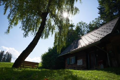a building with a tree and a bench next to it at Gregor's Ferienhaus im Wald in Edelschrott