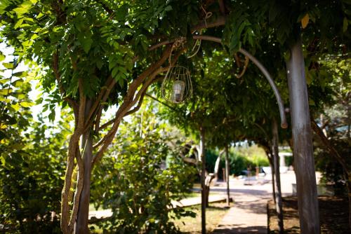 a bird cage hanging from a tree in a park at Hotel Villa Rizzo Resort and Spa in San Cipriano Picentino