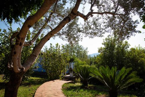 a brick walkway through a park with a tree at Hotel Villa Rizzo Resort and Spa in San Cipriano Picentino