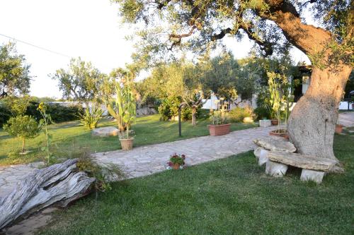a tree with a bench in the grass at B&B SanteBice in Polignano a Mare