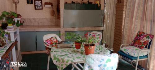 uma pequena cozinha com mesa e cadeiras com plantas em Hospedaje LA LUCIA em Almafuerte