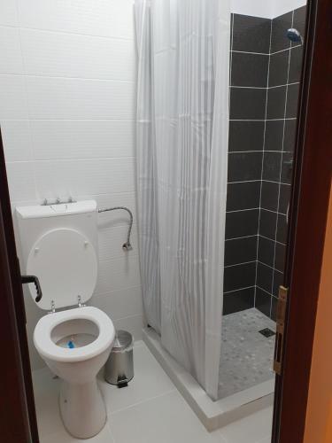 a bathroom with a toilet and a shower at NANA"S HOUSE APARTAMENT 2 Camere,2 bai in Sibiu