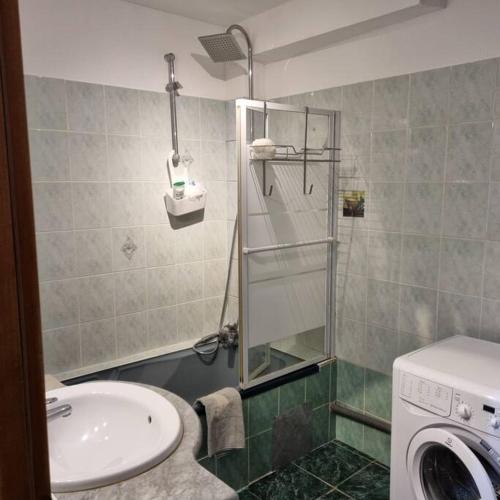 uma casa de banho com um lavatório e uma máquina de lavar roupa em Grand appartement confortable em Andolsheim