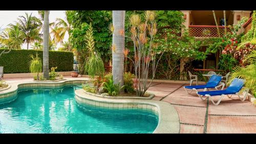 a swimming pool with two blue chairs and palm trees at Los Barriles Hotel in Los Barriles