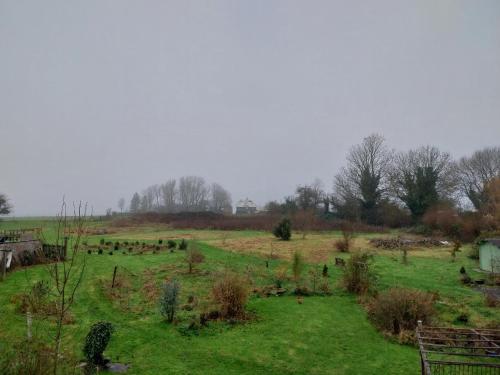 a field with a bunch of graves in it at La grange aux dîmes in Walcourt