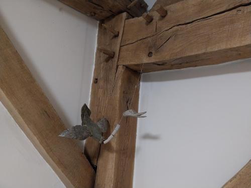 two birds perched on top of a wooden ceiling at La grange aux dîmes in Walcourt