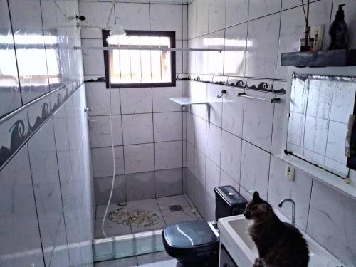 Eine Katze sitzt im Waschbecken in einem Badezimmer in der Unterkunft Casa Amarela a Beira Mar entre Arroio do Sal e Torres in Arroio do Sal