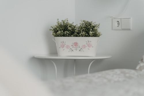 a plant in a white pot sitting on a shelf at Casa Palacio -Sanlúcar- in Sanlúcar de Barrameda