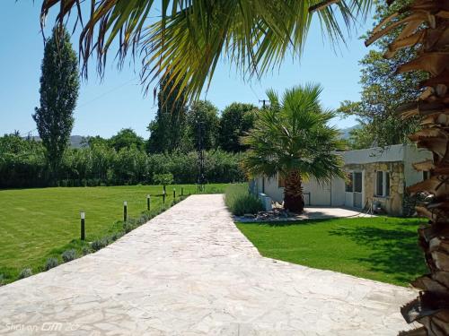 a driveway leading to a house with a palm tree at Erdem Ciftligi/ Ephesus Arena in Selcuk
