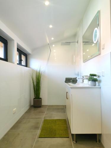 a white kitchen with a sink and a counter at DAS Chalet mit Schlossblick in Wernigerode in Wernigerode