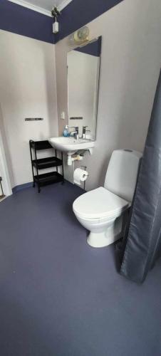 a bathroom with a white toilet and a sink at Stuga utanför Skövde 3 in Skövde