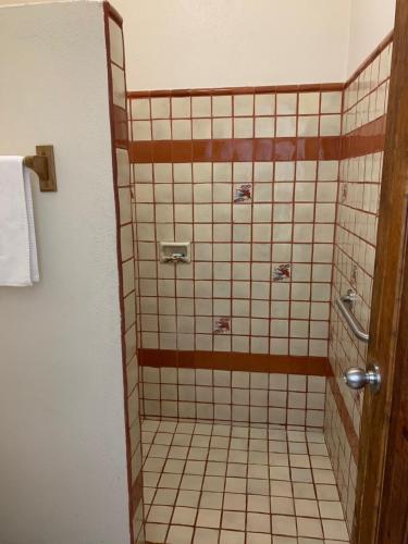 ロス・バリレスにあるLos Barriles Hotelのバスルーム(木製のドア、タイル張りのシャワー付)