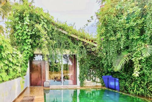 an ivy covered house with a swimming pool at Waterland in Negombo