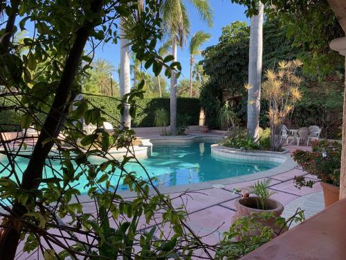 a swimming pool in a yard with palm trees at Los Barriles Hotel in Los Barriles