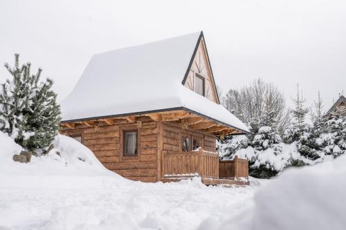 a log cabin with snow on the roof at Leśna Chatka in Dzianisz