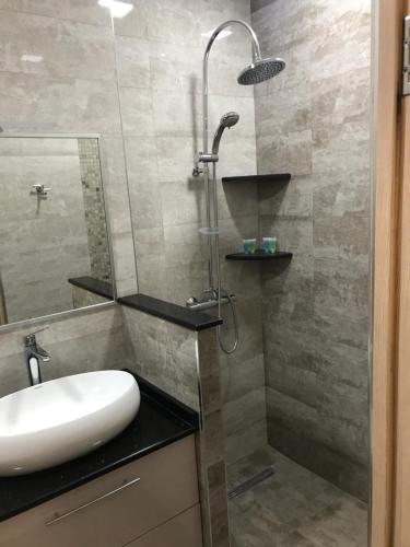 a bathroom with a sink and a shower at SM Apartment in Yerevan