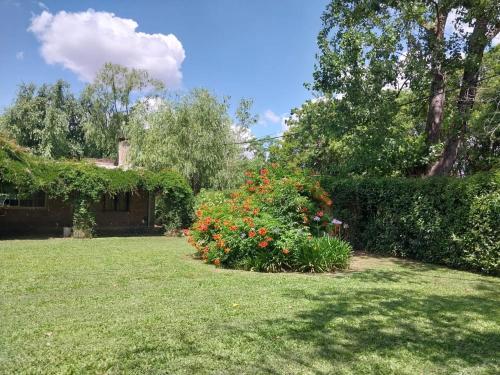 einen Garten mit einem Blumenstrauch und einem Haus in der Unterkunft Casa Quinta El Cultivo in San Antonio de Areco