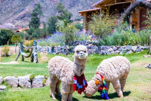 Gallery image of Inkasaire Boutique Lodge in Urubamba