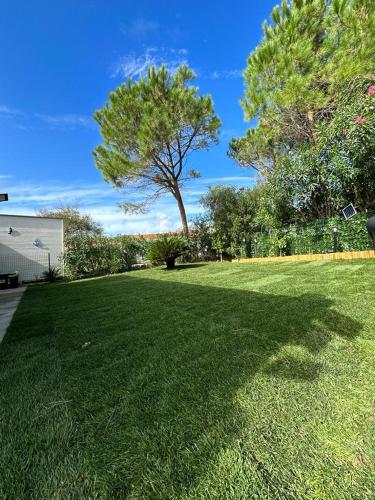 a large grassy yard with a tree in the background at Magnifique villa neuve en bord de mer in Sassari