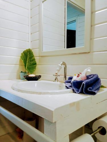 a bathroom with a sink and a mirror at Quinta llamame antigua in Tigre