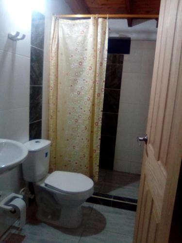 een badkamer met een douche, een toilet en een wastafel bij La posada de memo in Guatapé