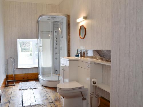 een badkamer met een douche, een toilet en een wastafel bij Llansantffraed House in Llansaintfraed in Elvel