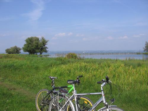 two bikes parked in a field next to a lake at Das smarte Hotel garni in Höchst